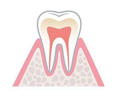 健康な歯茎の状態